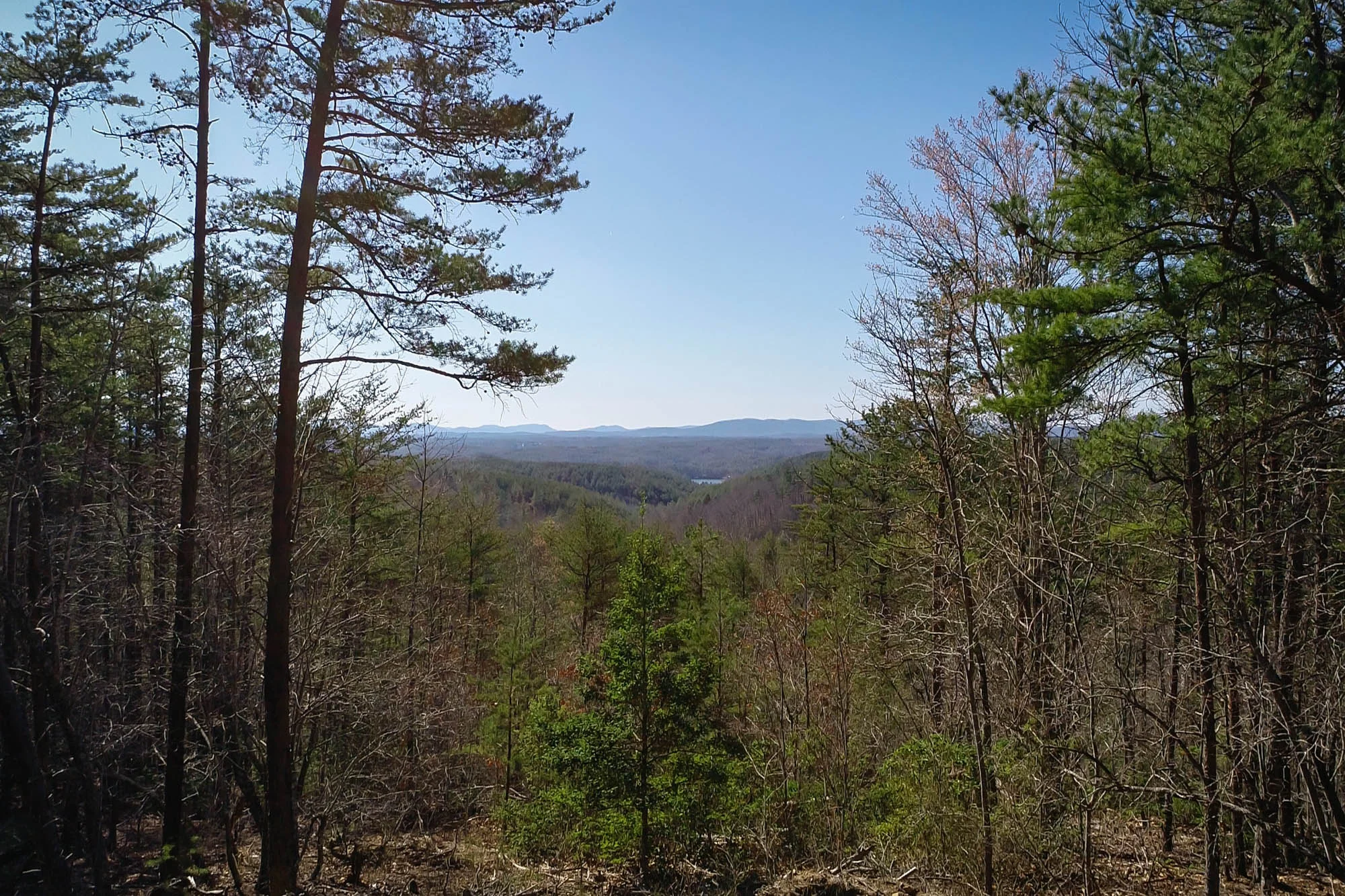 Pisgah Land-1.jpg