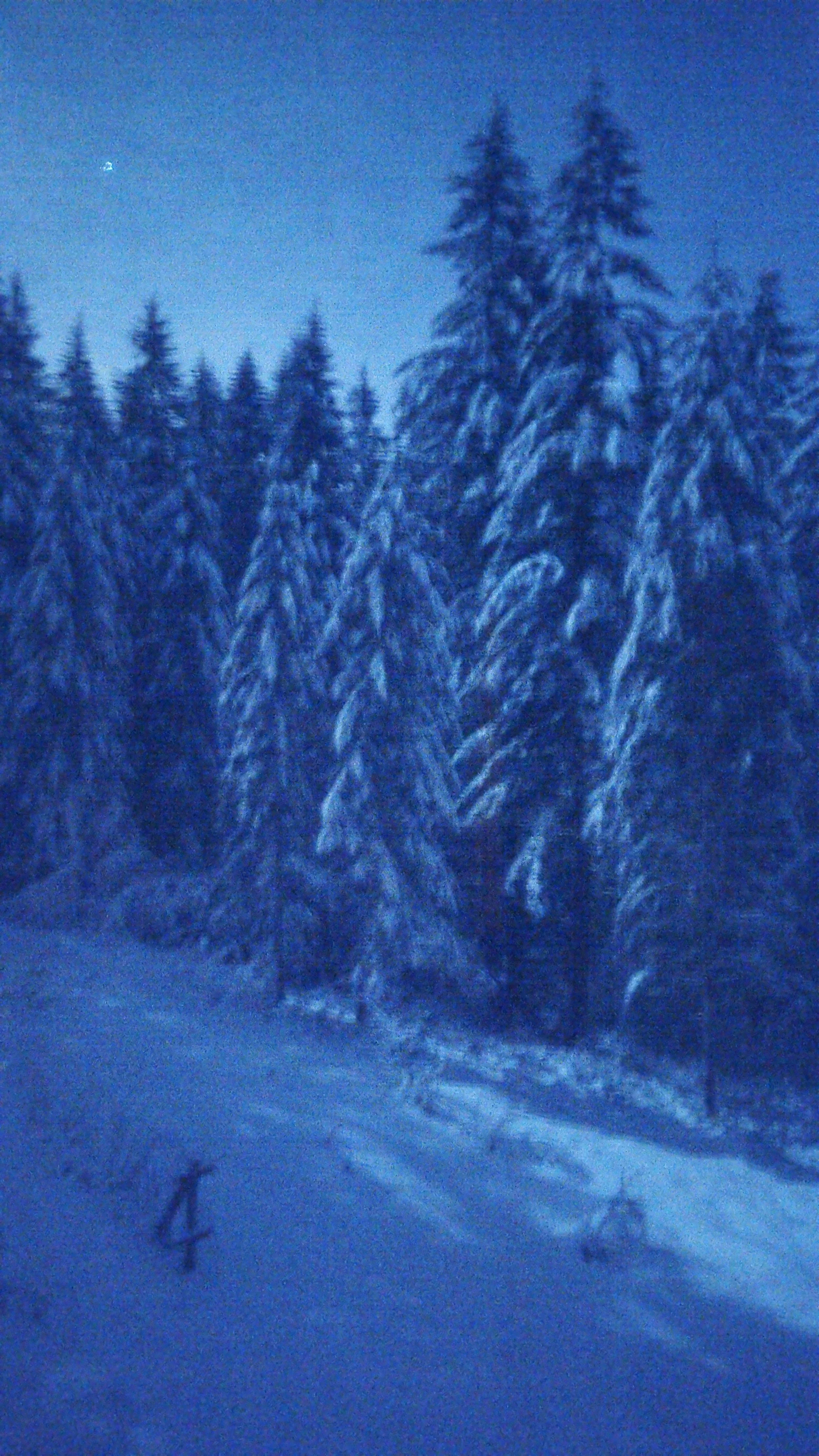 20170112_223622.jpg
