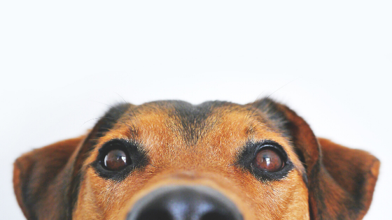 It's time to get your game face on.