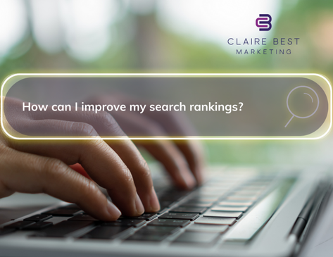 How SEO Can Help Small Businesses Thrive