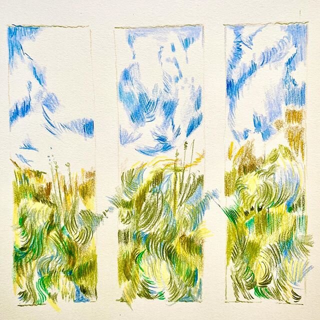Into the grass
.
.
.
.
.
#intheberkshires #naturewalks #prismacolor #colorpencils #theberks #artastherapy #berolprismacolor #instaart #sunsets @thetrustees #walk #walkwithme #maryoliver