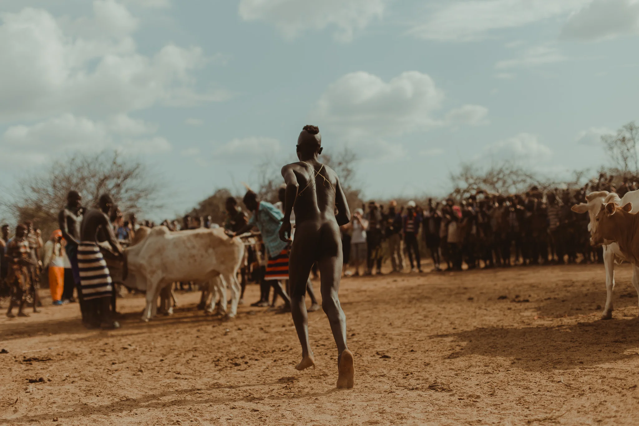 When all of the bulls are lined up, the young man must begin his trial. Why they divest of their clothes is not important, other than it’s what the tribe has done ever since the ceremonies began.