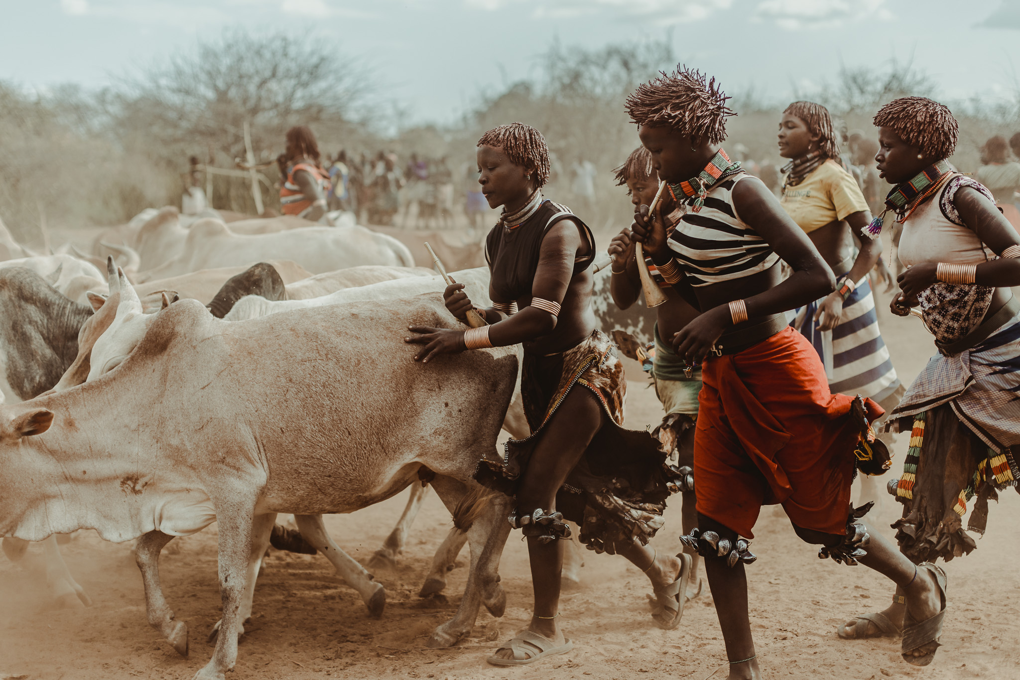 While the women sing and dance, they help to contain the bulls, though some can easily get upset and will bolt through the crowd.