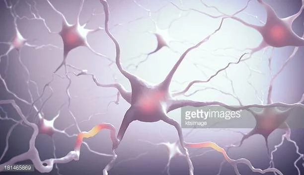 Photo by ktsimage/iStock / Getty Images