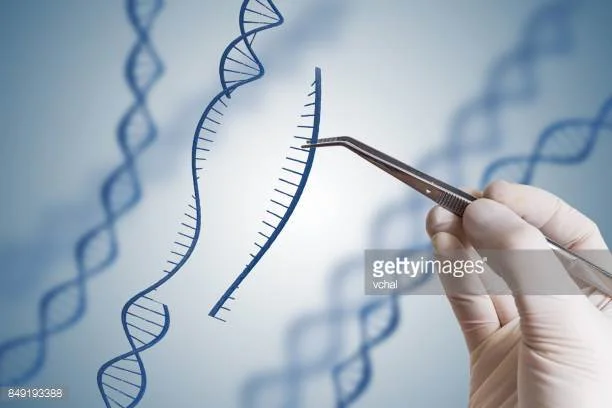 Photo by vchal/iStock / Getty Images