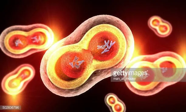 Photo by man_at_mouse/iStock / Getty Images