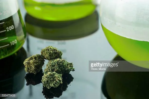 Photo by Thom_Morris/iStock / Getty Images