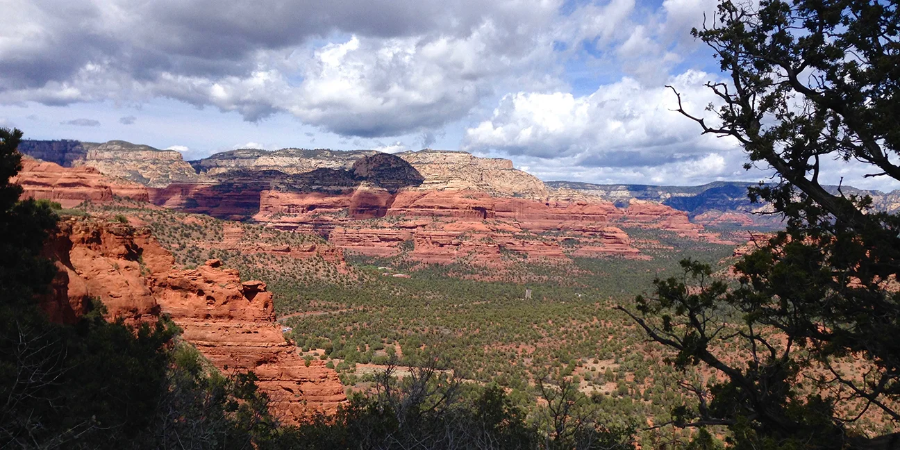 Purchase Landscape Canvases