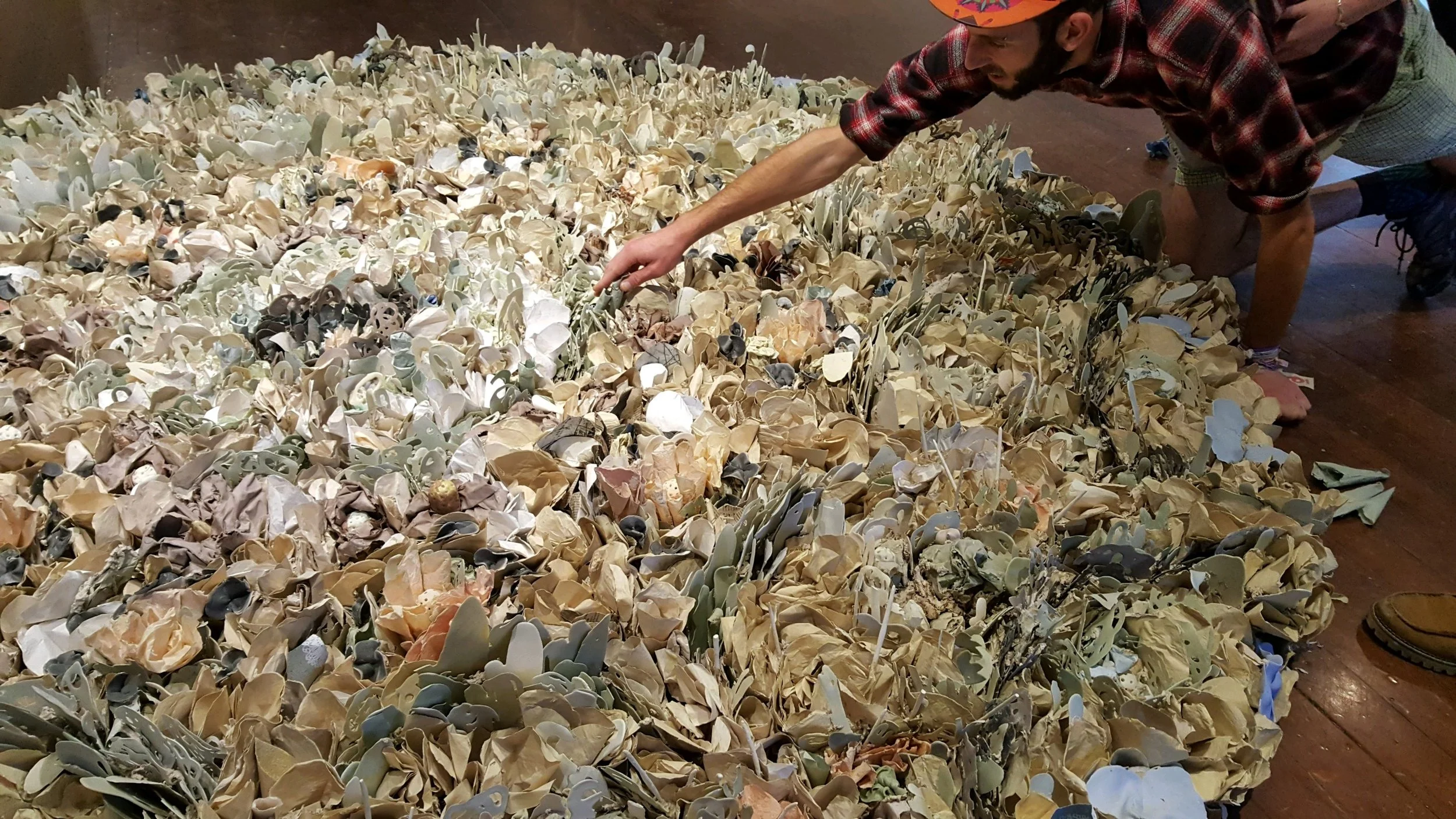 Installation of Patterns of Nature, Green Round 