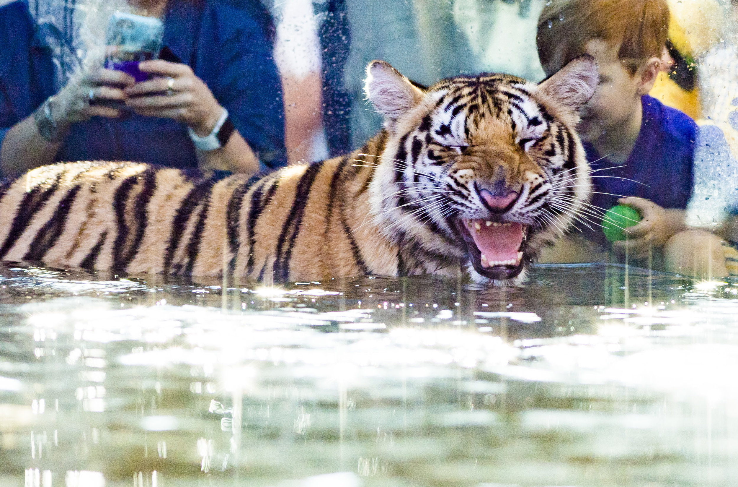 MikeVII133.jpg