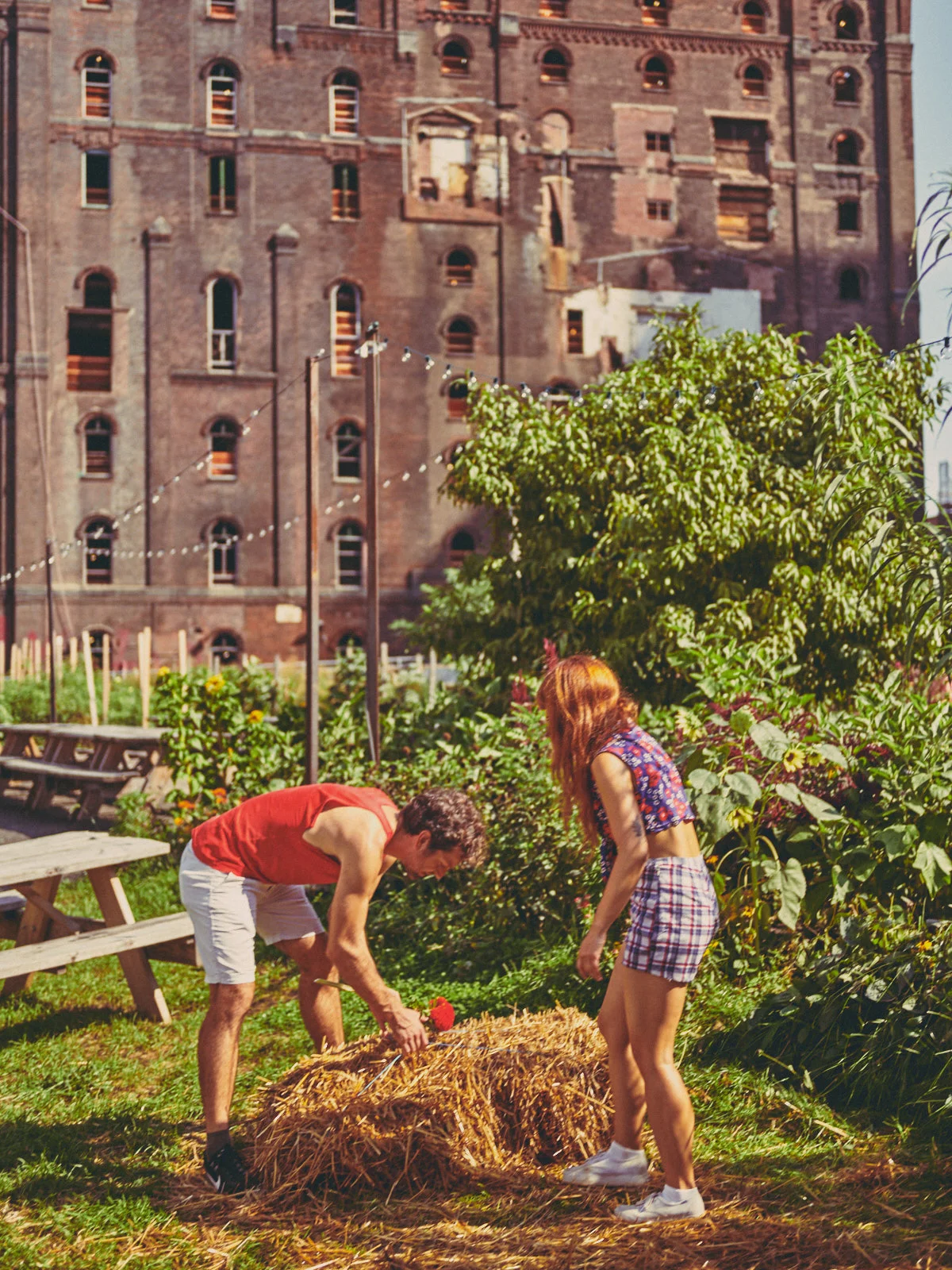 MCTP0012-Farming-NYC-Palmberg-022.jpg