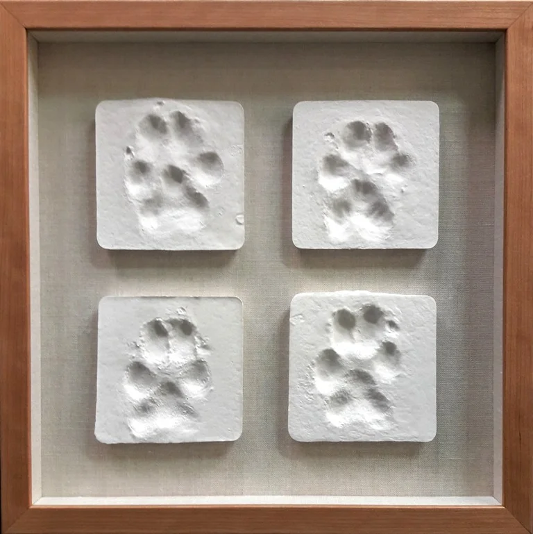 Sy_the_dog_pawprints.jpg
