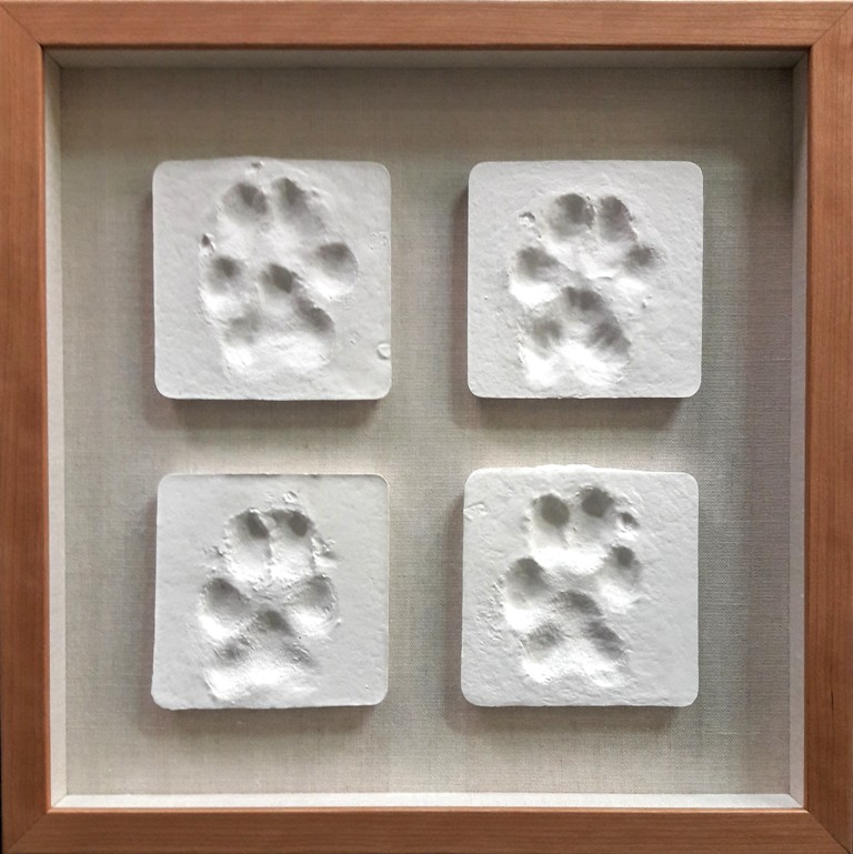 Memorial_dog_paws_prints_shadowbox.jpg