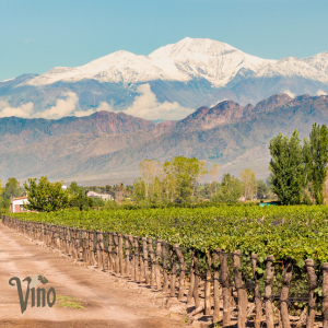 Saturday Wine School: A Tour of South America