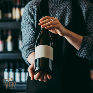 Saturday Session Tasting: South American Wine