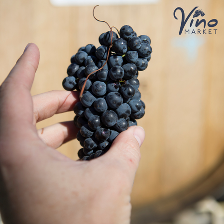 Saturday Wine School: Frank Talk about Cab Franc