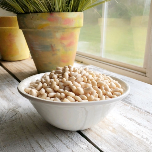 Navy beans.jpeg