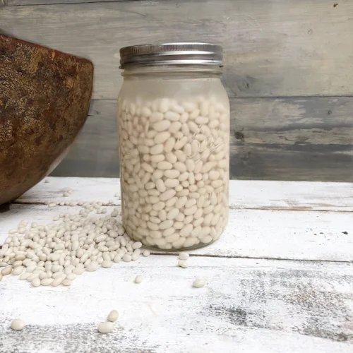 Navy beans in jar (1).jpg