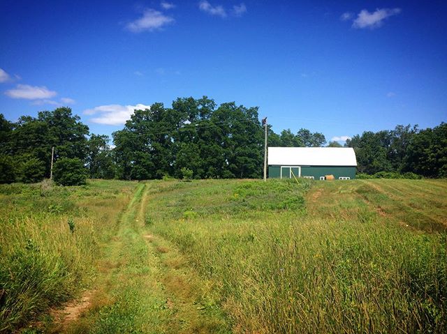 Field after field and our little barn watching over the scene. Best place for a walk/run/bike ride/ adventure. 😍