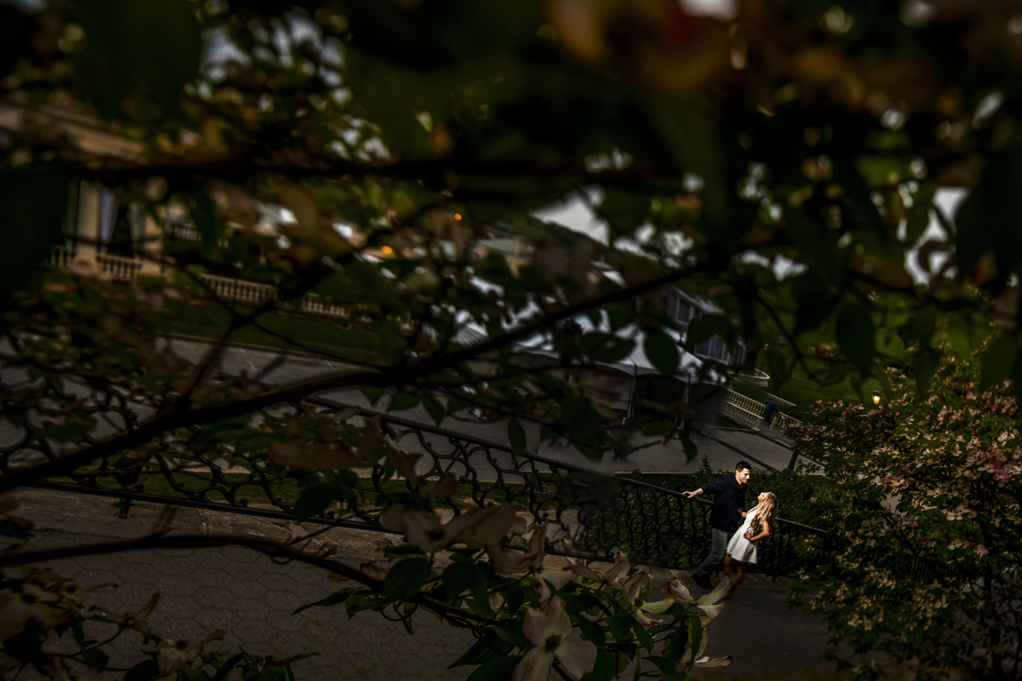 Myers-33.jpg