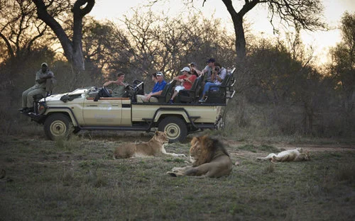 Game+drive+with+Kapama+Lodge+while+on+CPE+Conferences+Conference.jpg