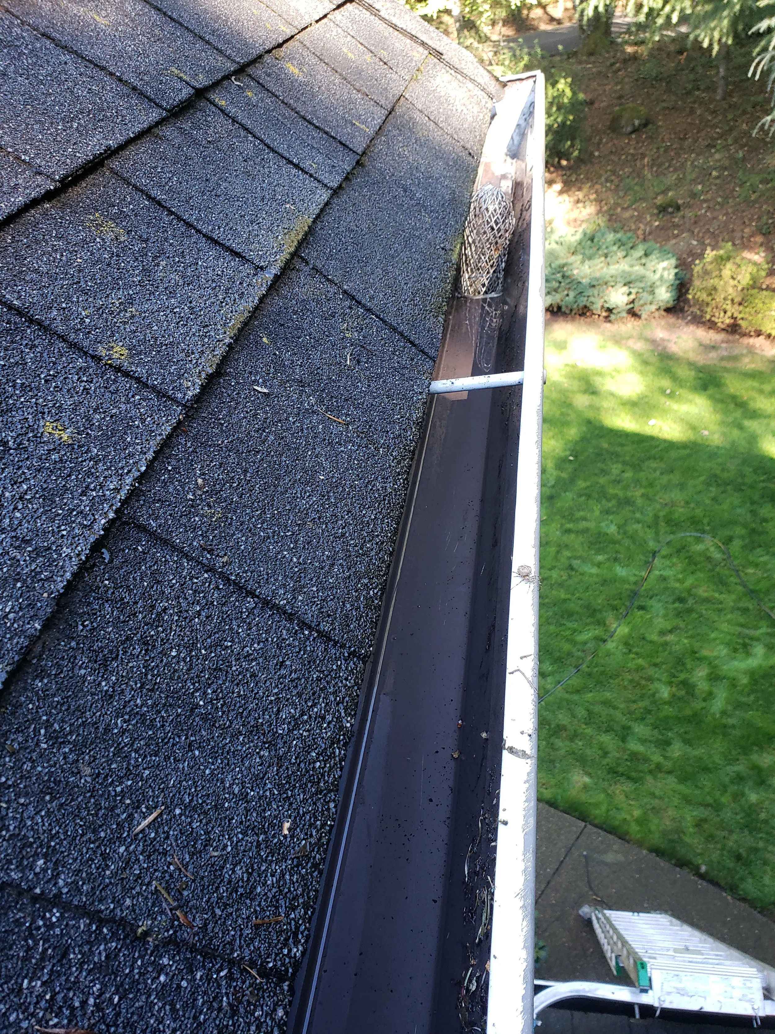 20201003_105145.jpg
