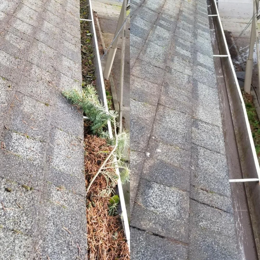 gutter before and after.jpg