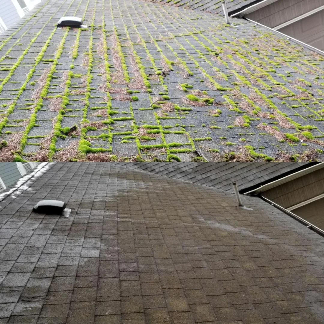 moss removal before and after.jpg