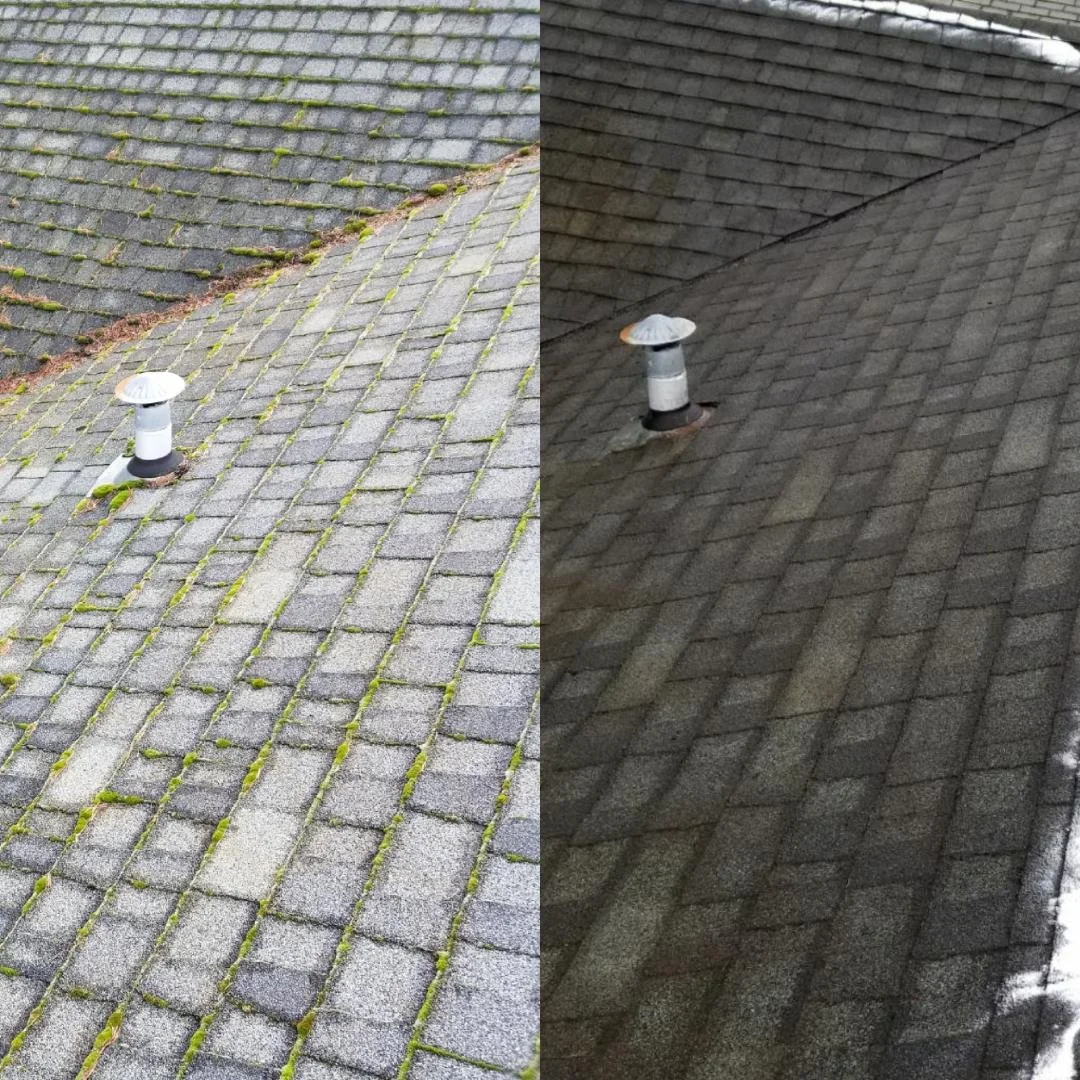 roof before and after.jpg