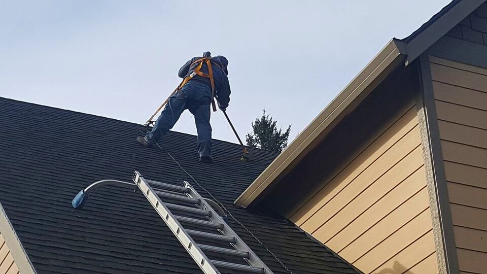 Roof Brush Cleaning.png