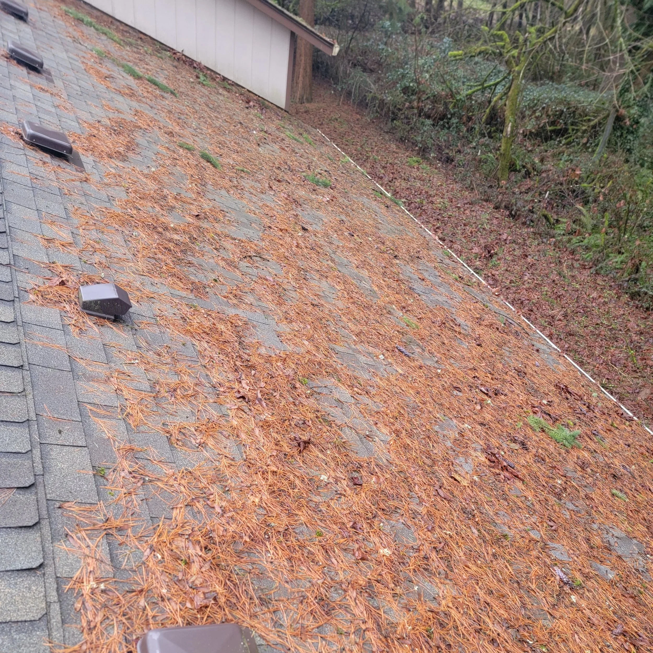 roof with debris before blowout