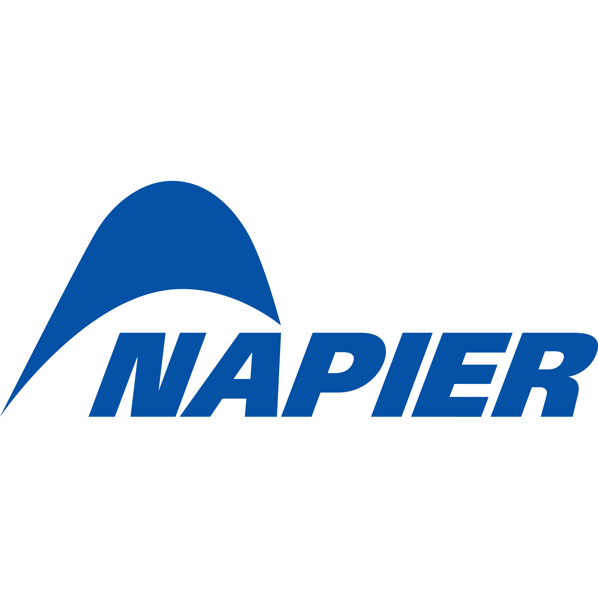 Napier Logo blue RGB.png