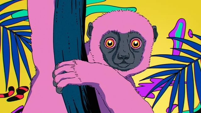 San Diego Zoo : 'Africa Rocks' Montage