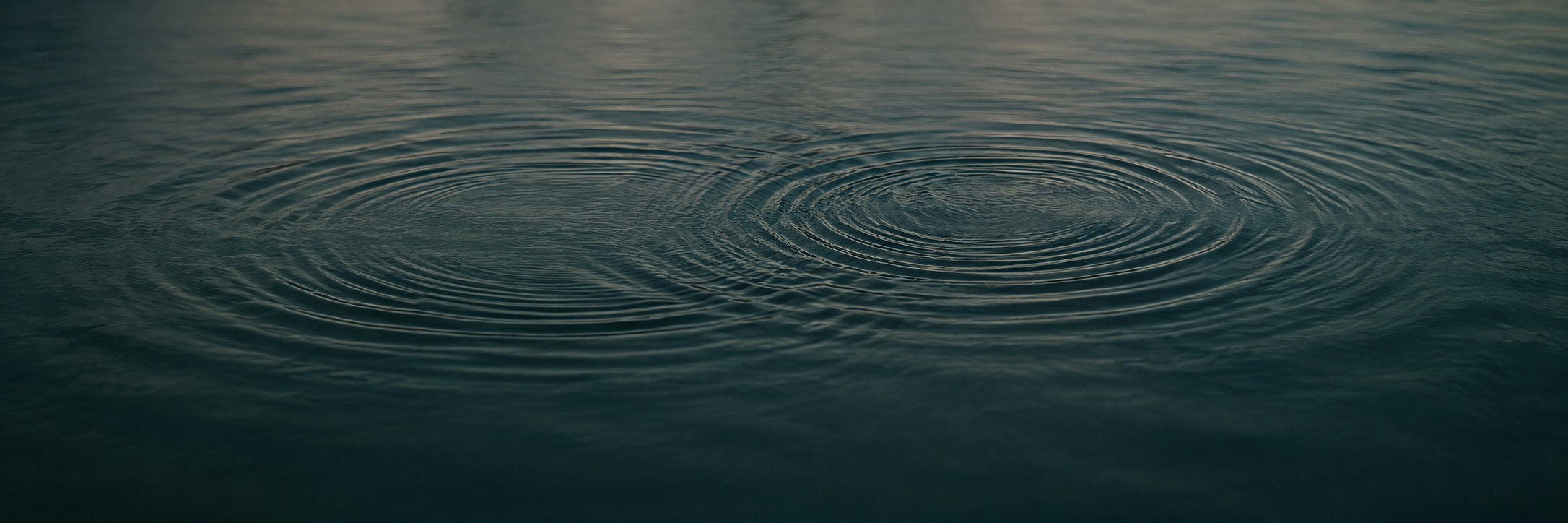 Contact.Hero Header.Two Ripples.png