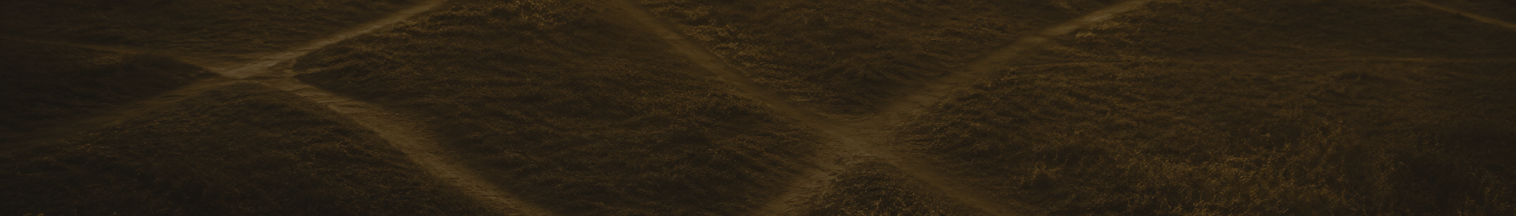 Service 3.Communities and Gatherings.Pull Quote 1.paths.darker less contrast.png