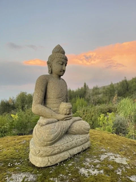 VIPASSANĀ MEDITATION RETREAT • PORTUGAL