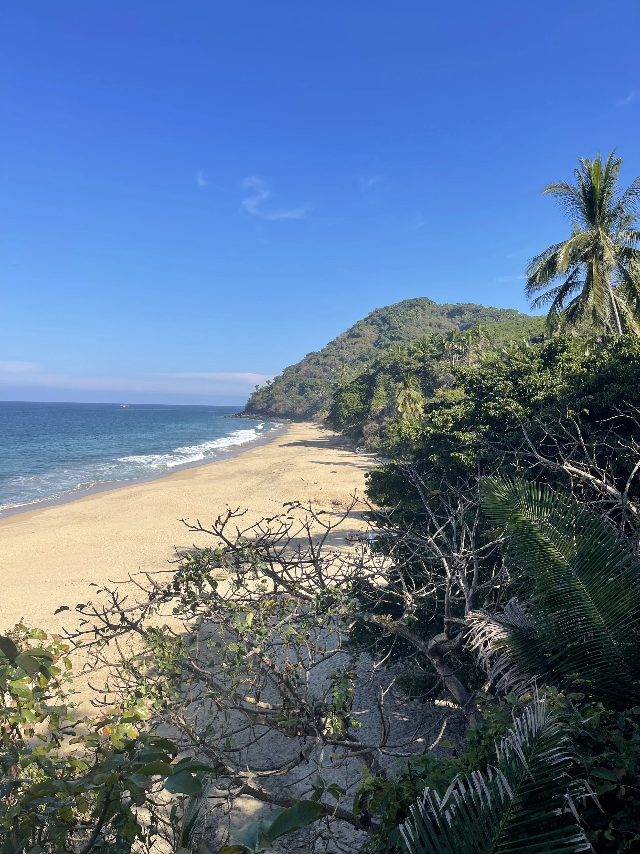 METTĀ YOGA & MEDITATION RETREAT • MEXICO