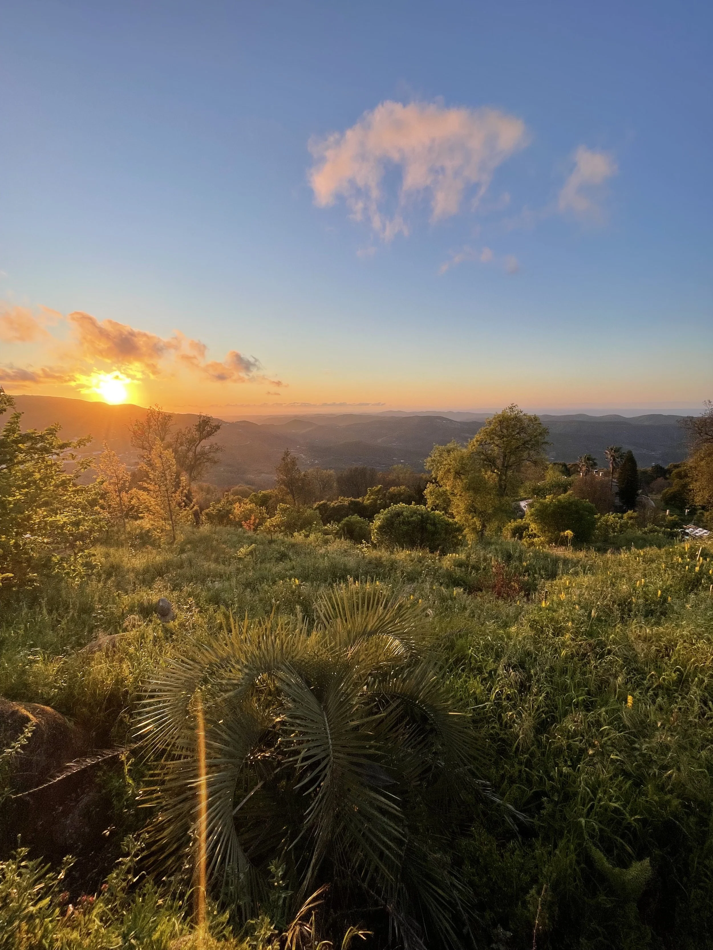 VIPASSANĀ MEDITATION RETREAT • PORTUGAL