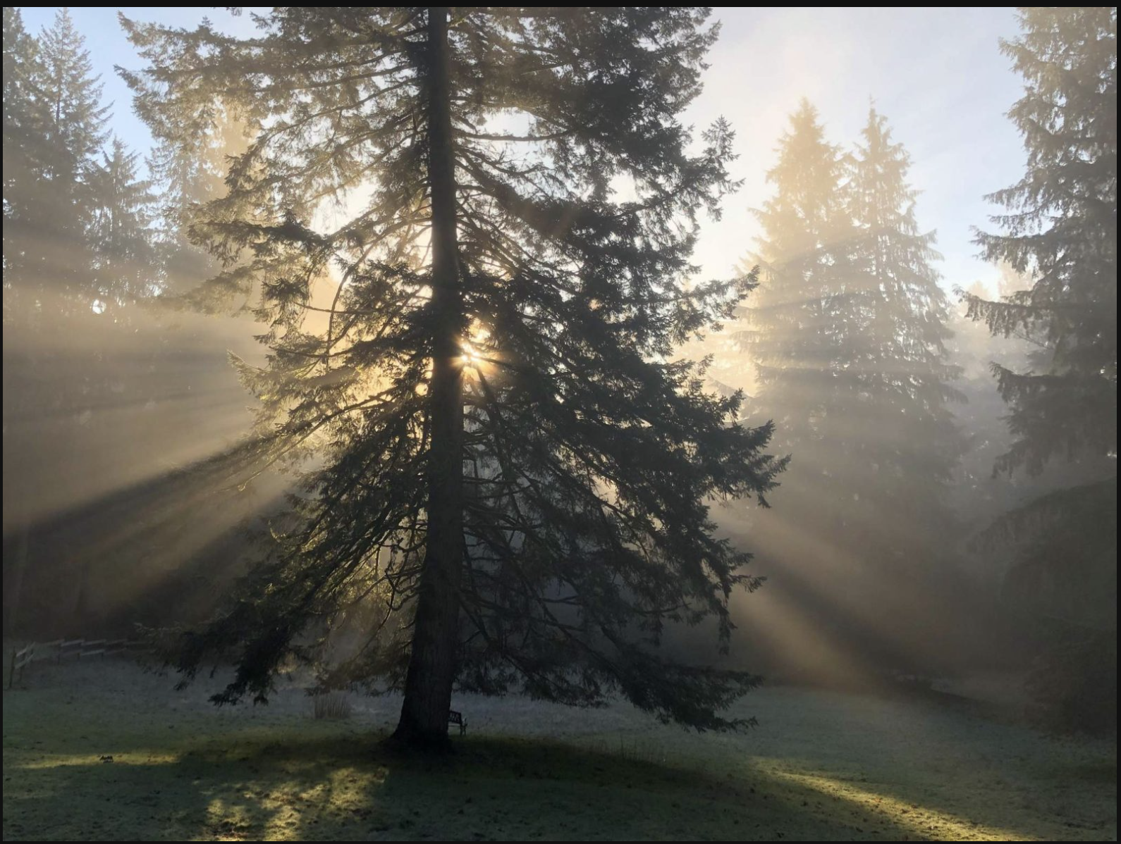 Screenshot 2026-02-05 at 4.55.39 AM.png