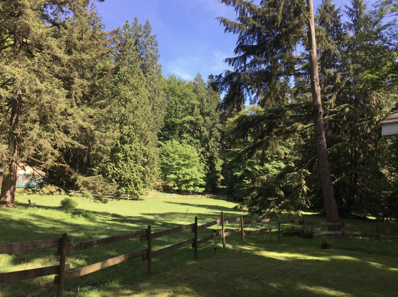 Screenshot 2026-02-05 at 5.34.36 AM.png