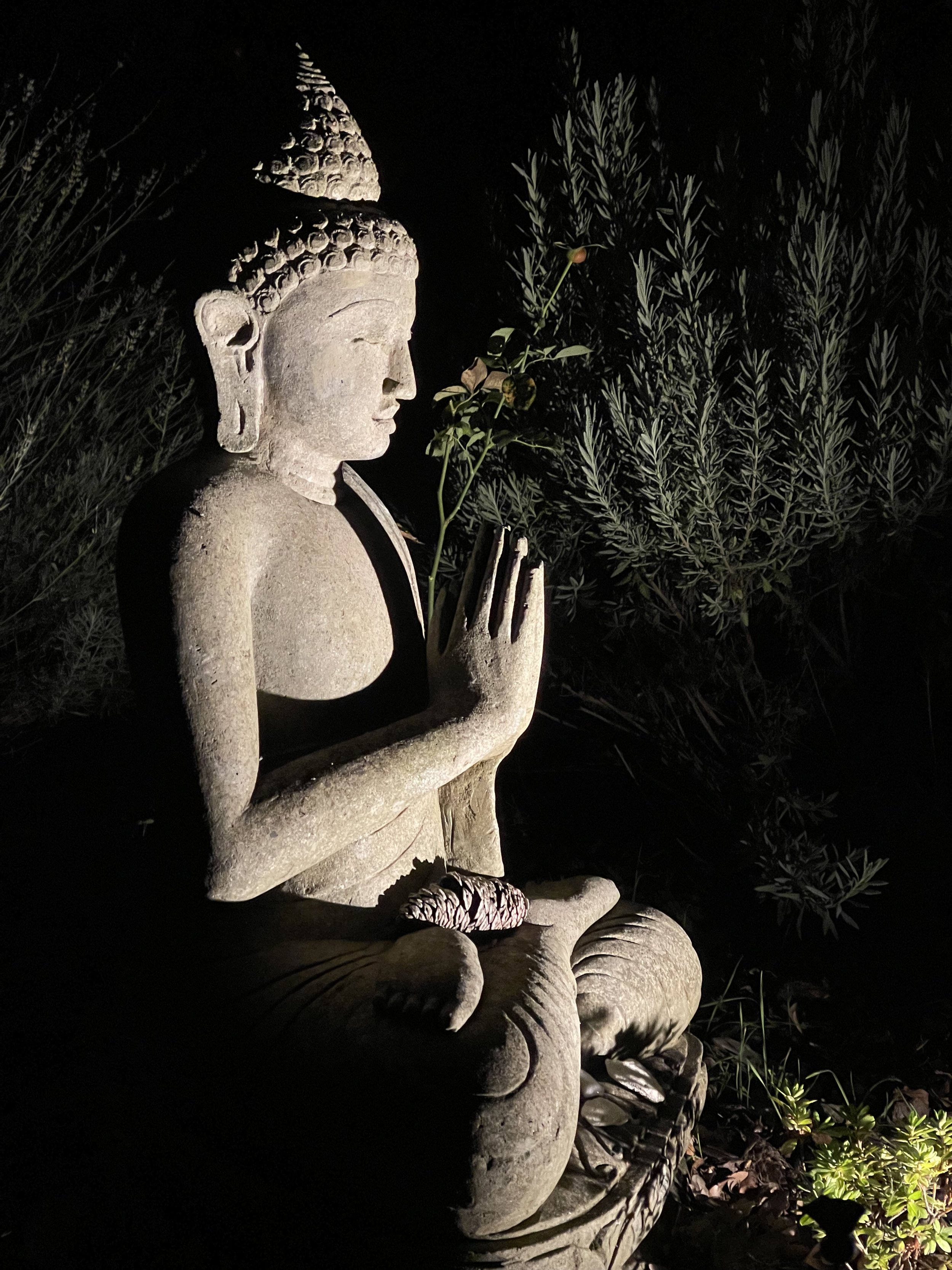 VIPASSANĀ MEDITATION RETREAT • PORTUGAL