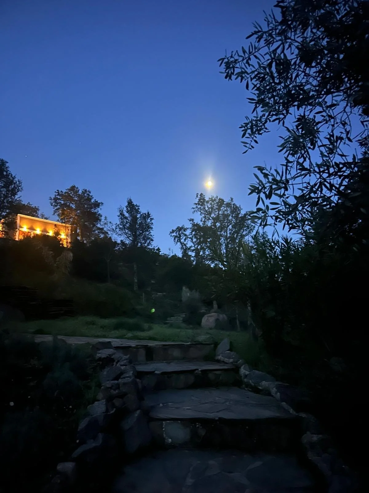 VIPASSANĀ MEDITATION RETREAT • PORTUGAL