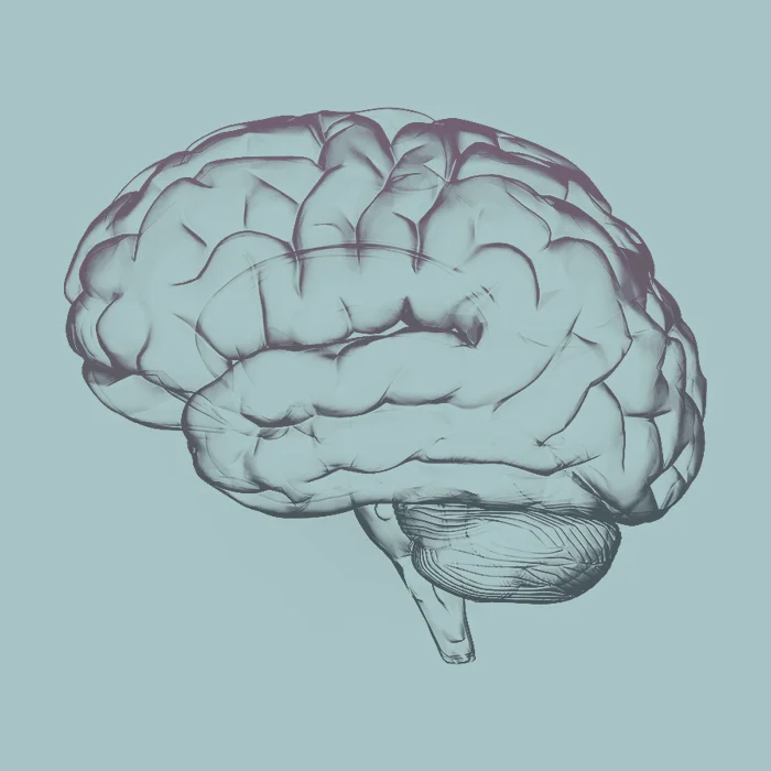 BRAIN-FOOD.jpg