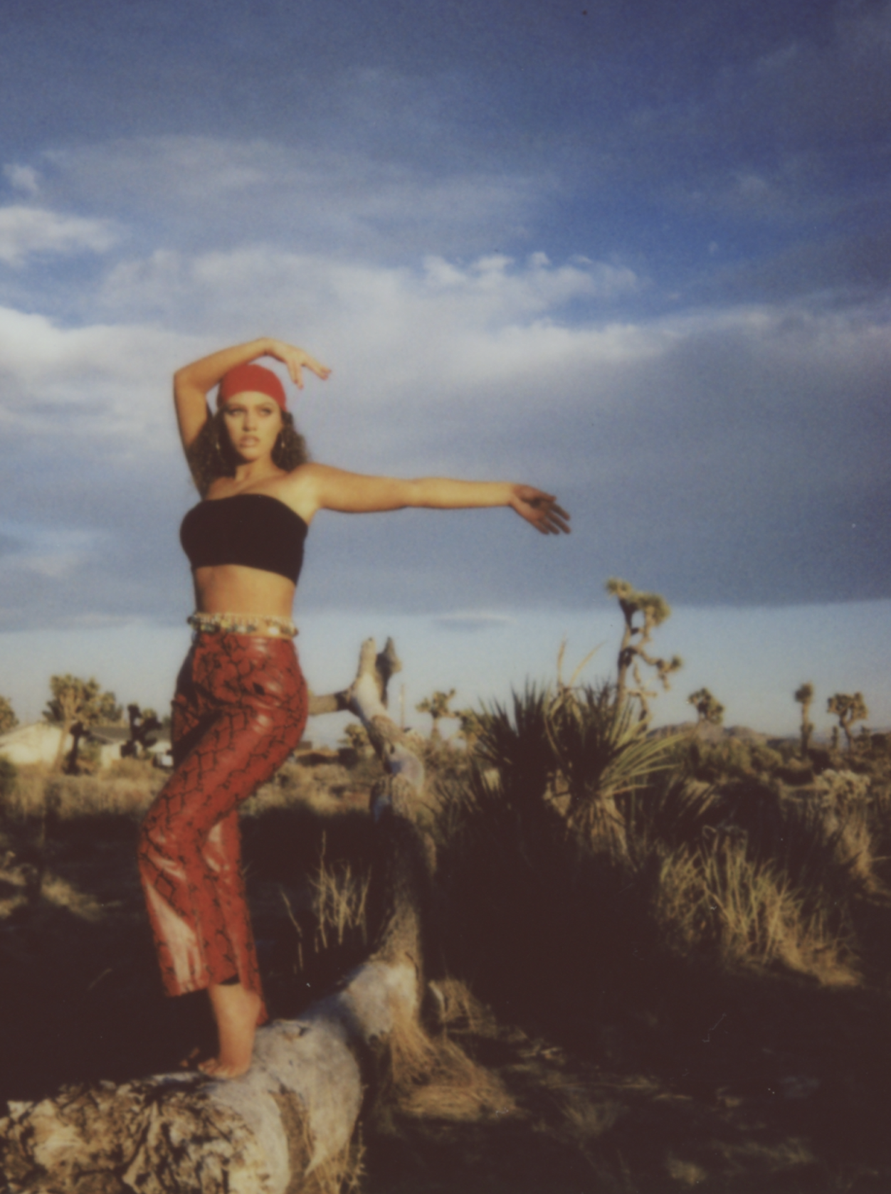 Screen Shot 2020-02-03 at 1.30.55 PM.png