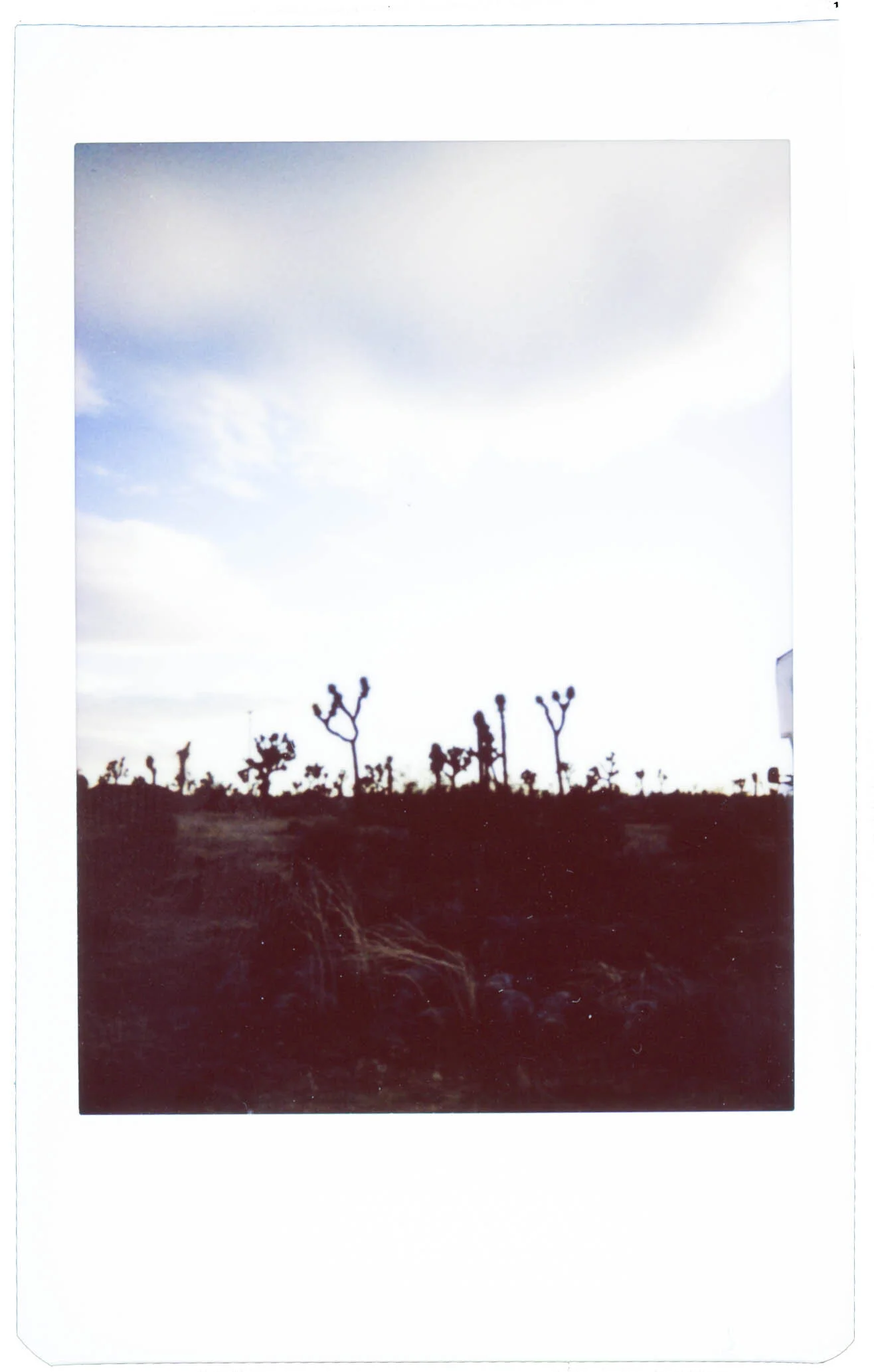 MXMTOON (5 of 25).jpg