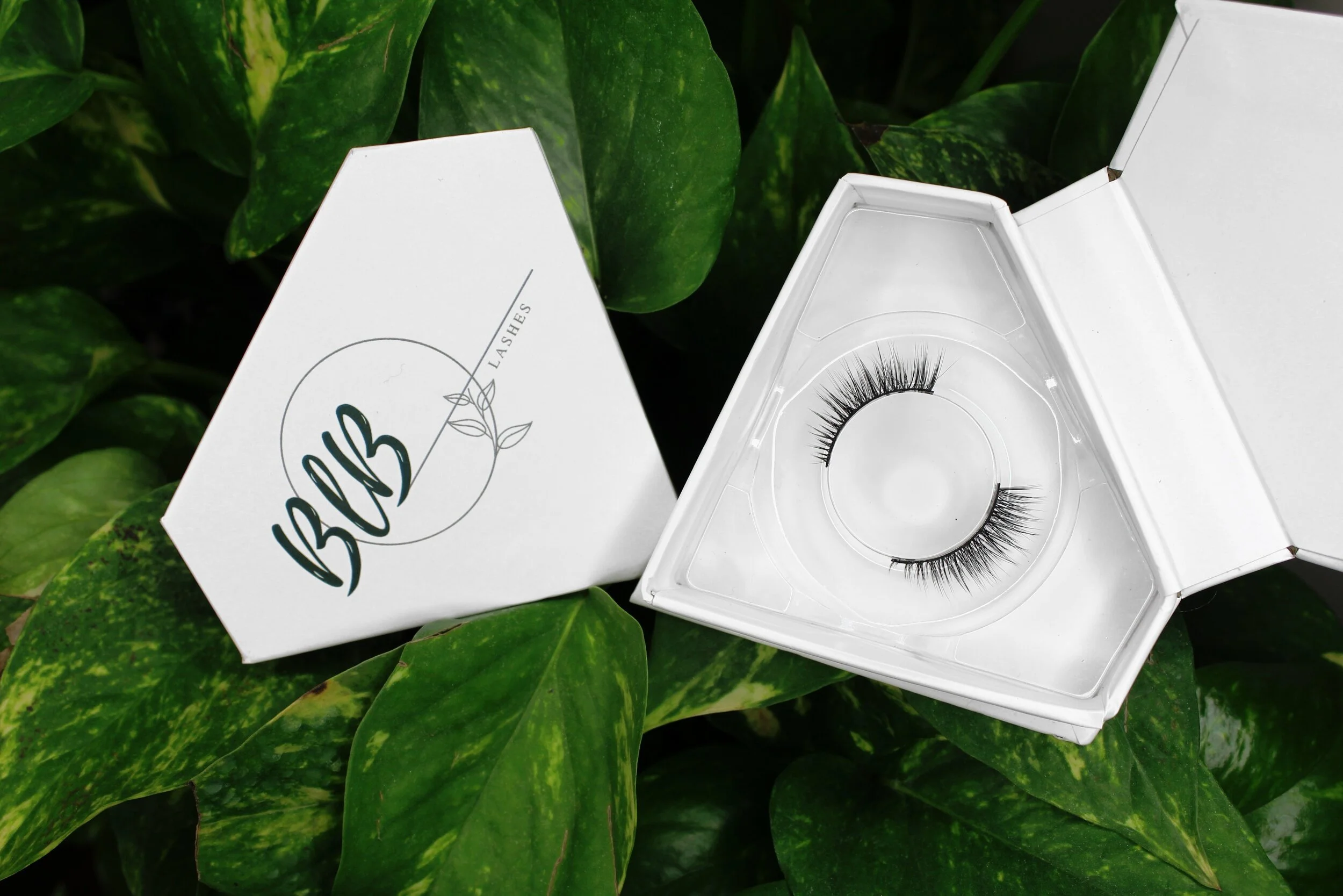Backlash Beauty False Lashes — Bloomfield Beauty Co. Prince Edward
