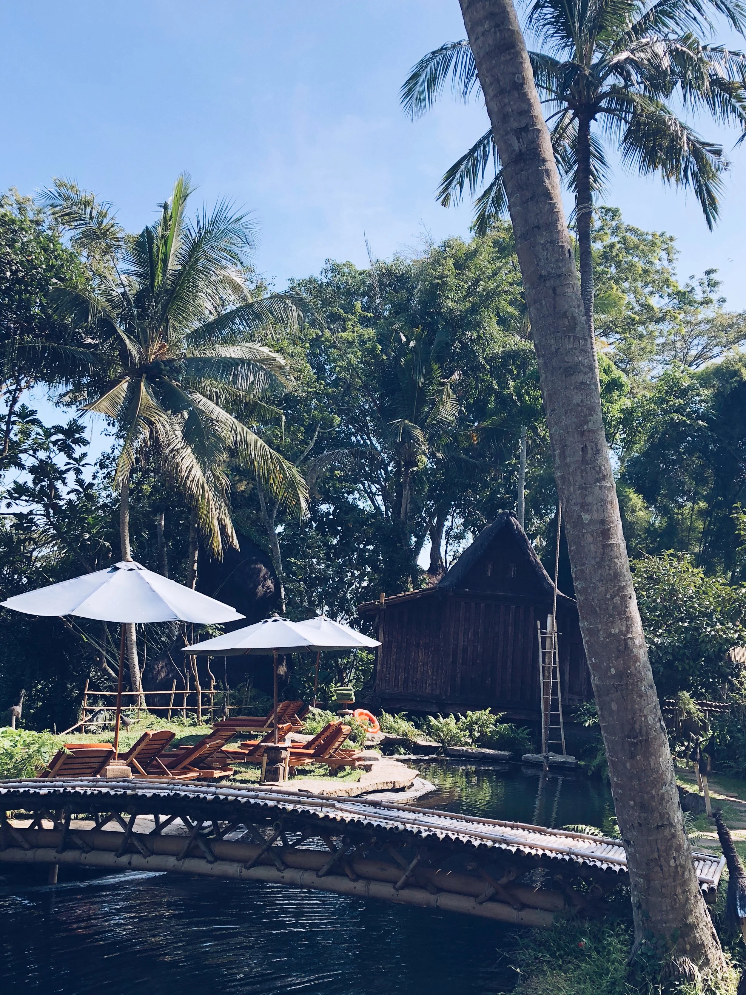 Bali6.jpg