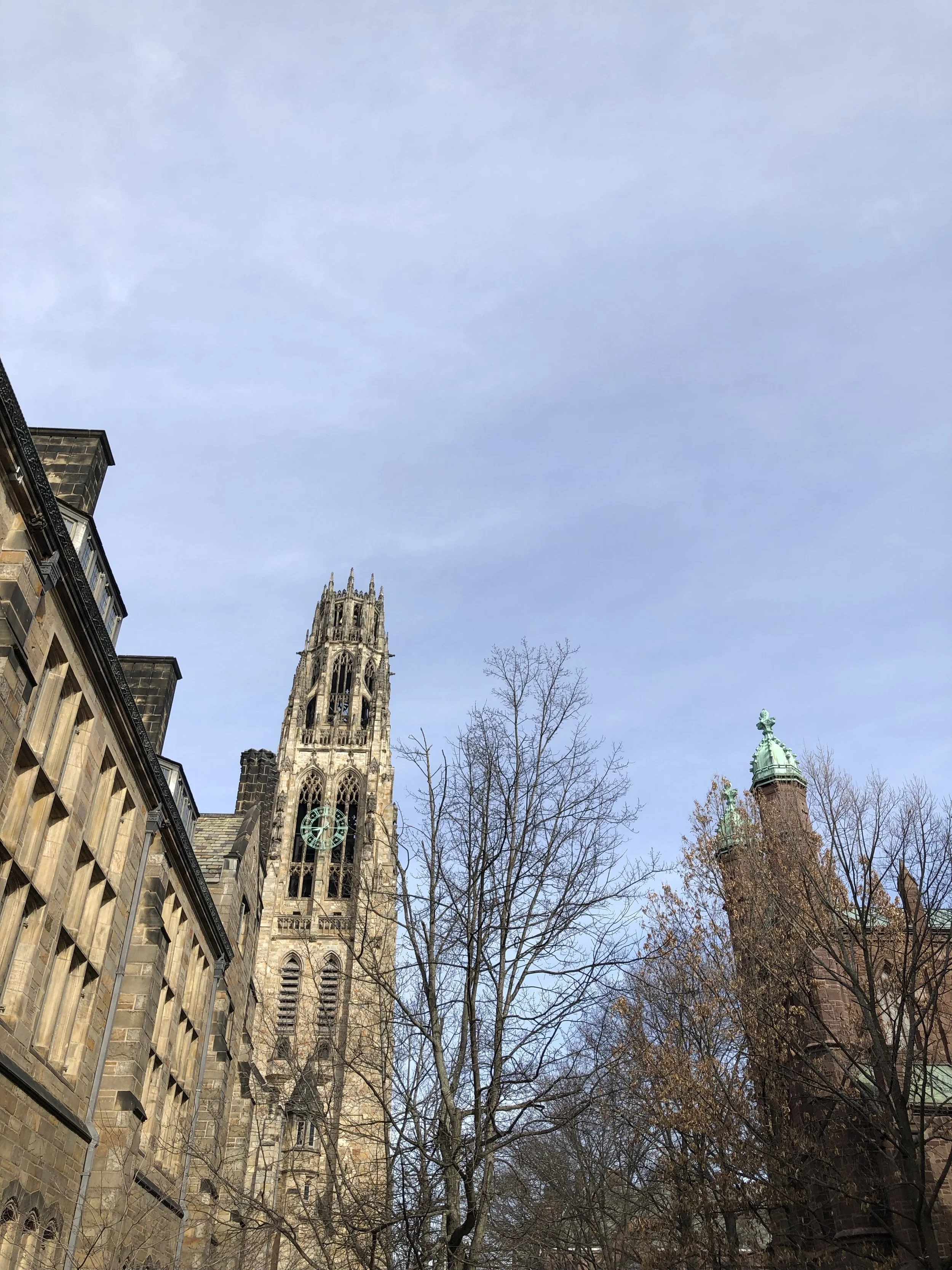 Joining the Yale MacMillan Center's Initiative on Religion, Politics, and Society as a Junior Fellow!