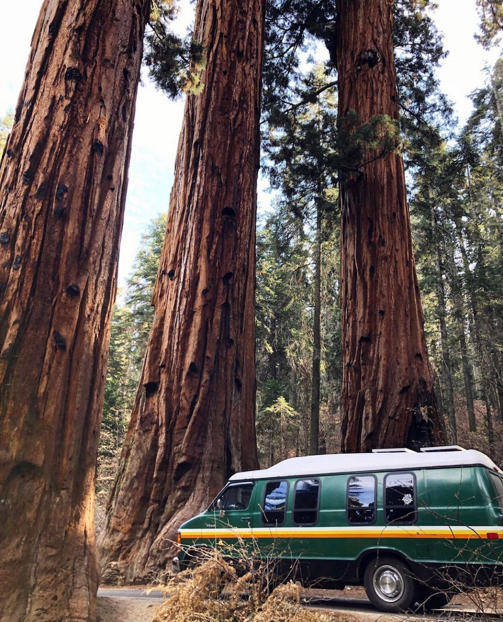Frank-Trip-Sequoia (2019)