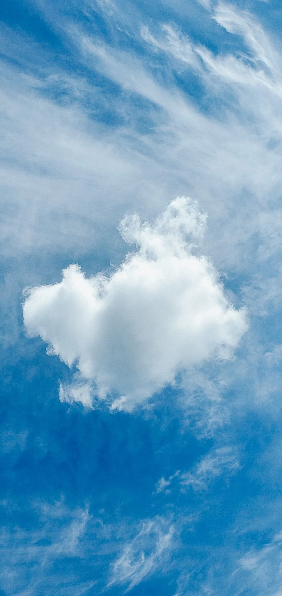 20210607_163628 (1)-Enhanced.jpg